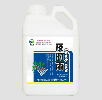 及时雨